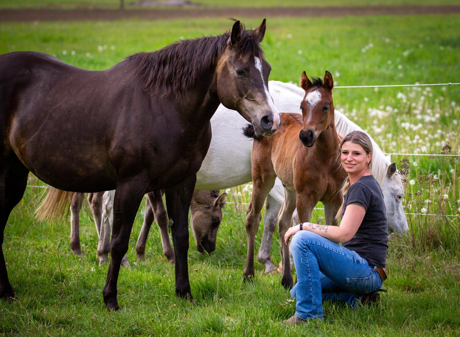 frau mit pferd